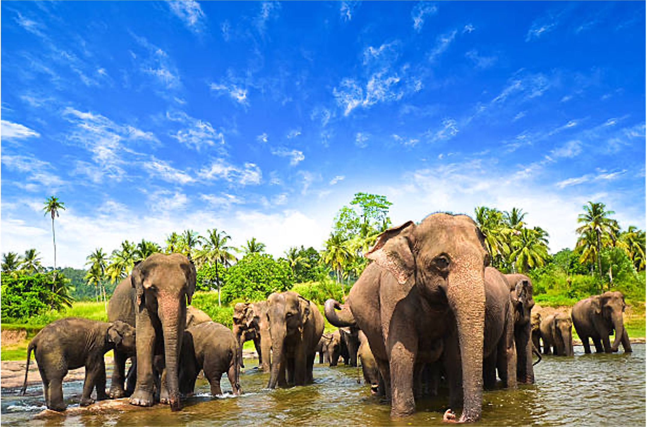 Sri Lanka-Maldives